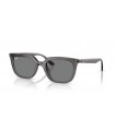 Ray-Ban RB 4439D 6675/87