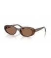 Ray-Ban RB 4441D 6779/73